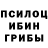 Псилоцибиновые грибы ЛСД Diana Luchina