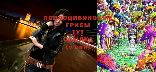 дмт Алексеевка