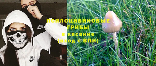 дмт Алексеевка